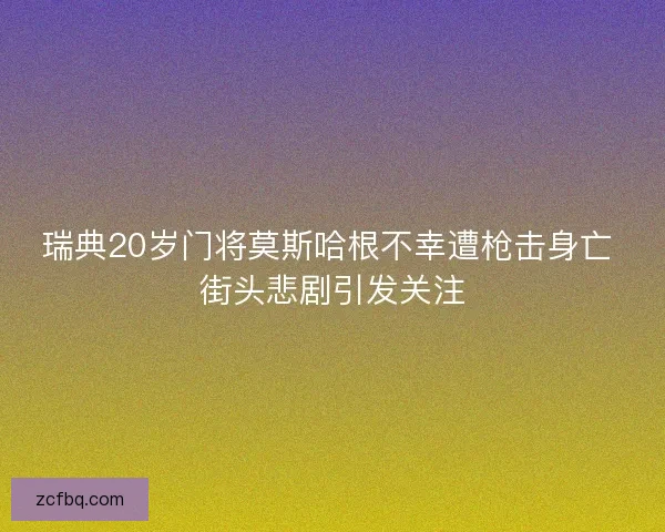 瑞典20岁门将莫斯哈根不幸遭枪击身亡 街头悲剧引发关注