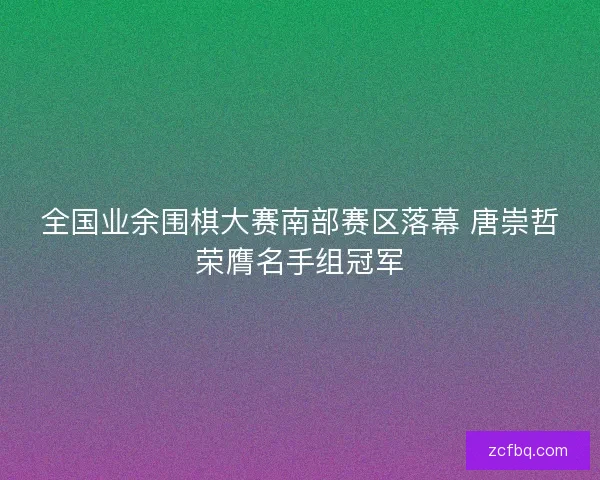 全国业余围棋大赛南部赛区落幕 唐崇哲荣膺名手组冠军
